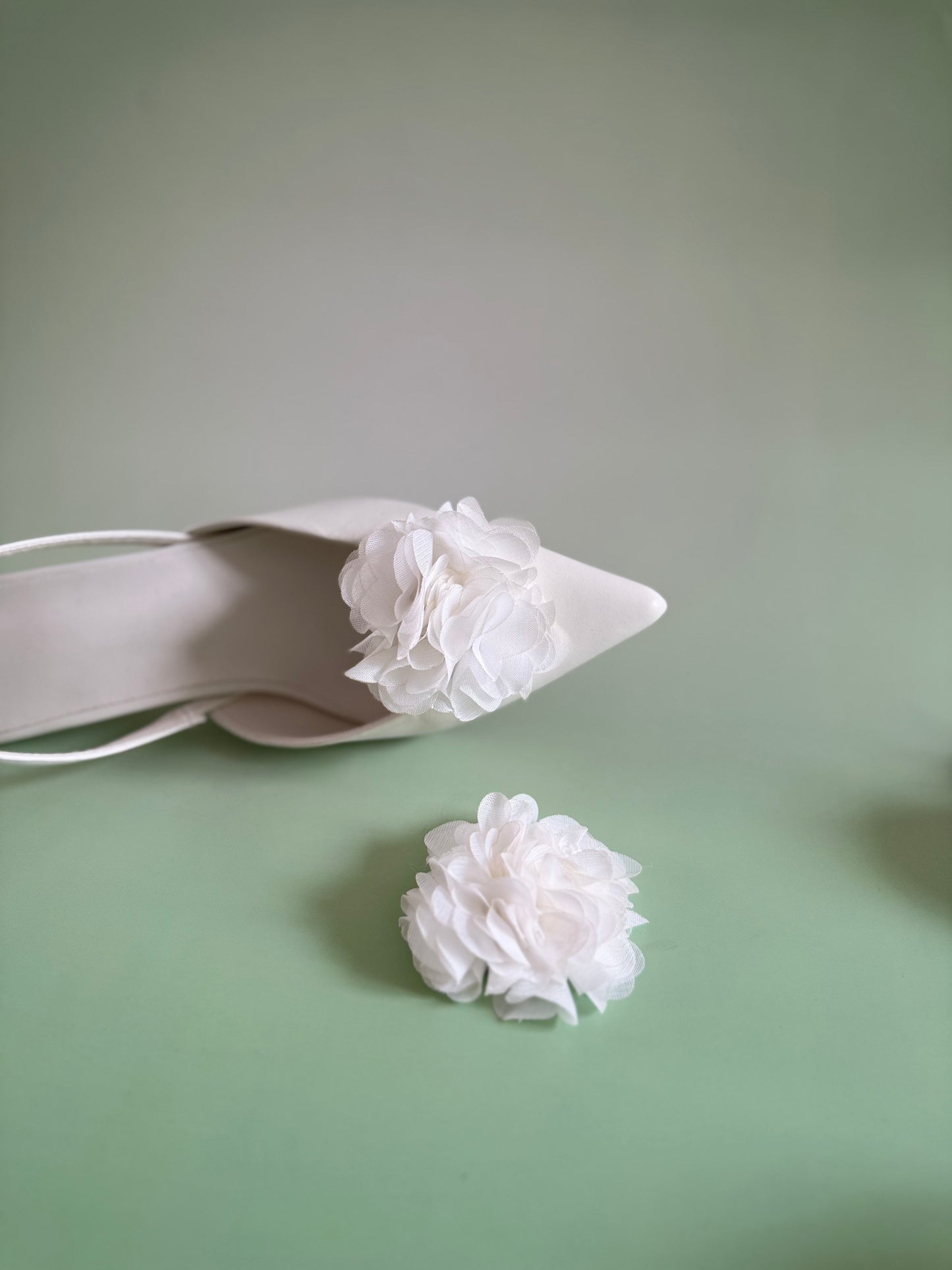 Ma fleur