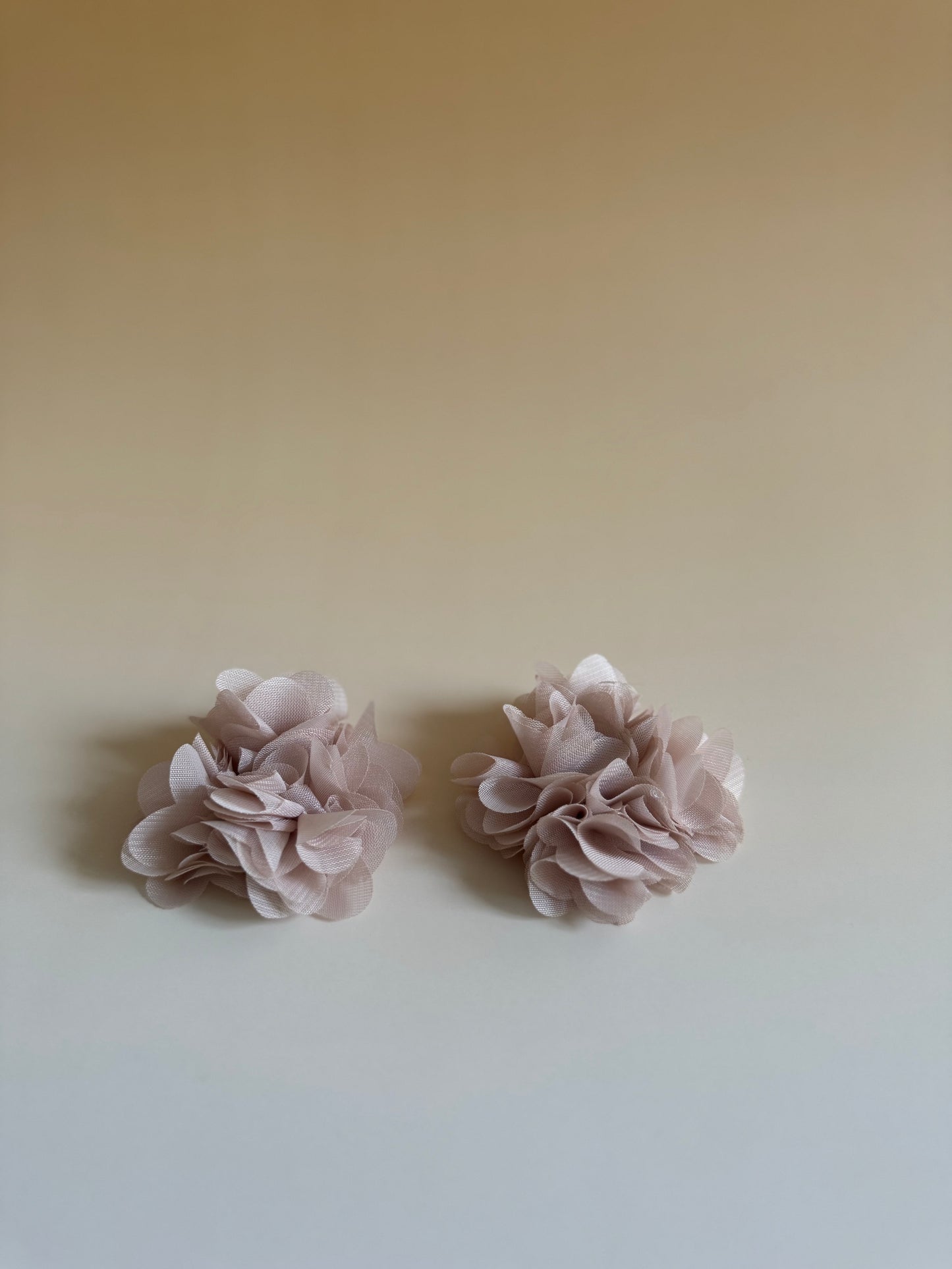 Fleur d'été